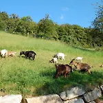 Holderstanzenhof * Bad Griesbach (Baden-Wurttemberg)