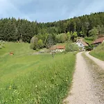 Holderstanzenhof Appartement Bad Griesbach (Baden-Wurttemberg)
