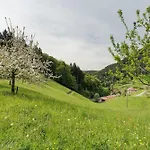 Holderstanzenhof Apartamento *