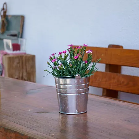 Apartment Holderstanzenhof Bad Peterstal-Griesbach