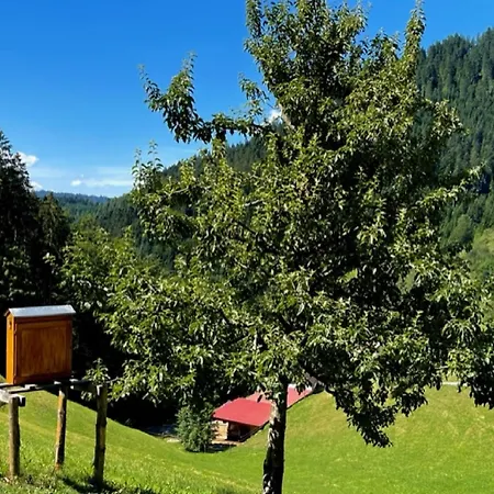 Holderstanzenhof Bad Peterstal-Griesbach