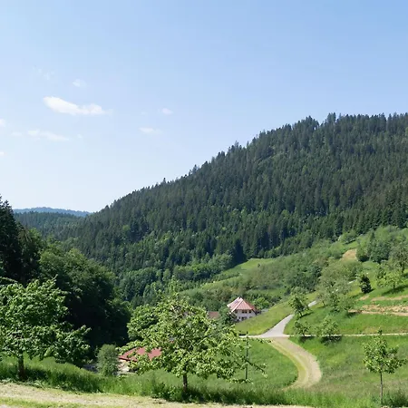 Holderstanzenhof Bad Peterstal-Griesbach