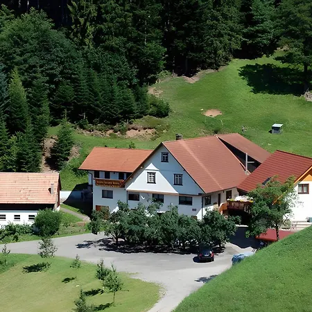 Holderstanzenhof Bad Peterstal-Griesbach