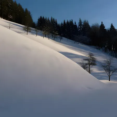 Holderstanzenhof Apartamento