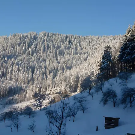 Holderstanzenhof * Bad Griesbach (Baden-Wurttemberg)