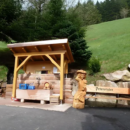 Holderstanzenhof Apartamento *