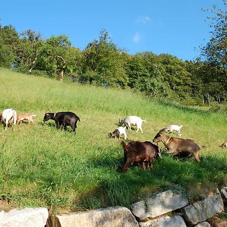 Holderstanzenhof *