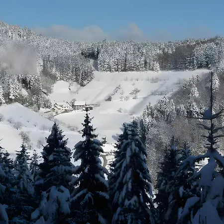 Holderstanzenhof Apartamento *