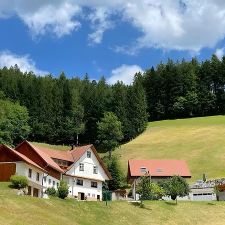 Holderstanzenhof *