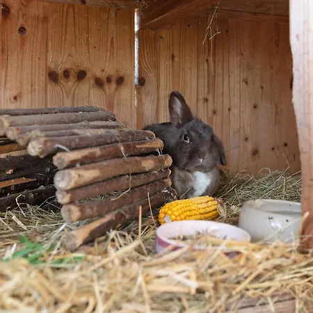 アパート Holderstanzenhof