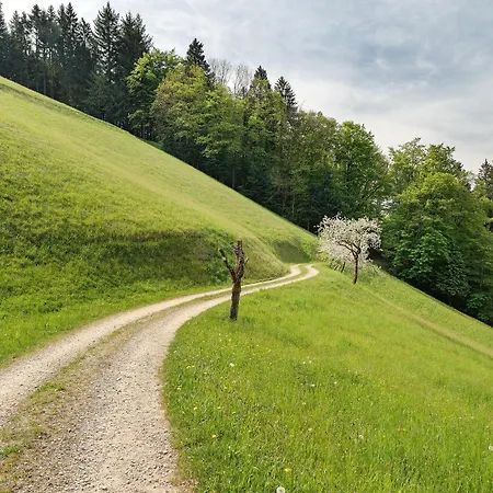 Holderstanzenhof アパート Bad Griesbach