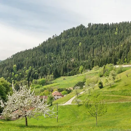 Holderstanzenhof Bad Griesbach (Baden-Wurttemberg)