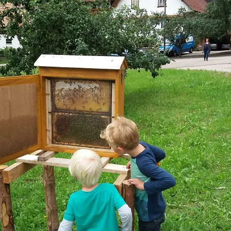 Holderstanzenhof * Bad Peterstal-Griesbach