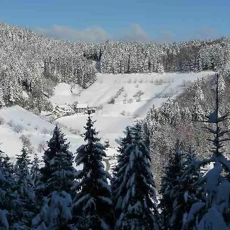 Holderstanzenhof Bad Peterstal-Griesbach