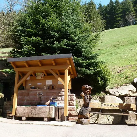 Holderstanzenhof * Bad Peterstal-Griesbach