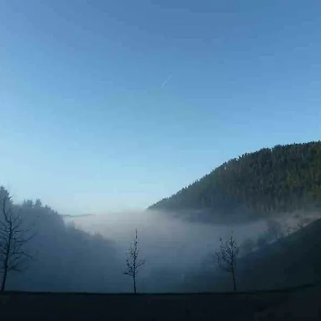 Holderstanzenhof Bad Peterstal-Griesbach