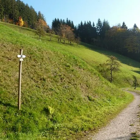 Holderstanzenhof *